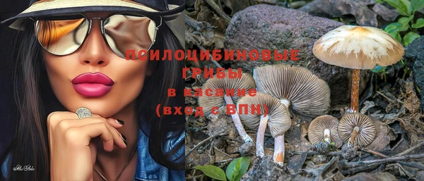 МДПВ Нея