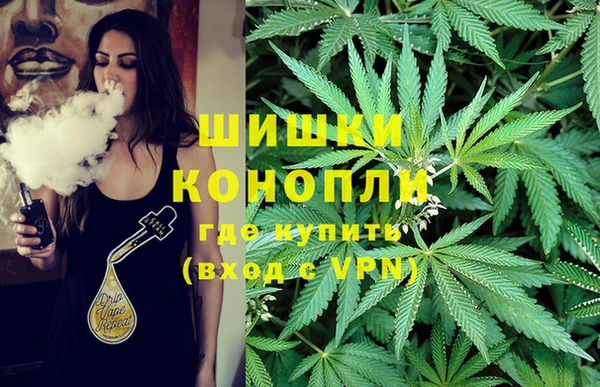 стаф Новозыбков