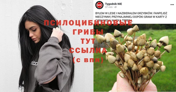 кокс Нефтекумск