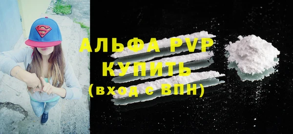 МДПВ Нея